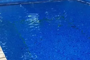 111 Shinbone Ln, Commack, NY 11725 - Photo 34