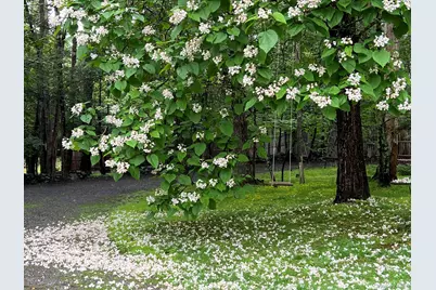 404 John Joy Road, Woodstock, NY 12498 - Photo 30