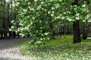 404 John Joy Rd, Woodstock, NY 12498 - Photo 30