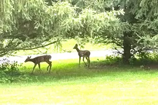 29 Deer Brook Dr, New Windsor, NY 12553 - Photo 42