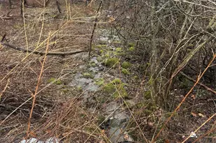 395 Back Shandelee Rd, Livingston Manor, NY 12758 - Photo 2