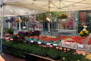 55 N Broadway, White Plains, NY 10601 - Photo 32