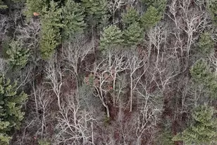 95 Skinner Rd, Wurtsboro, NY 12790 - Photo 26