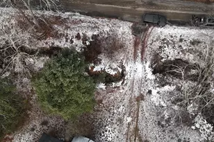 95 Skinner Rd, Wurtsboro, NY 12790 - Photo 6