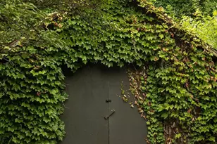 85 Wurts St, Kingston, NY 12401 - Photo 26