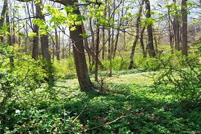 Pine Road & Pepperidge Road, Tuxedo Park, NY 10987 - Photo 2