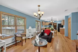 131 Ozeriany Rd, Glen Spey, NY 12719 - Photo 22