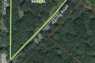 131 Ozeriany Rd, Glen Spey, NY 12719 - Photo 36