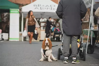 22 Olinda Avenue, Hastings on Hudson, NY 10706 - Photo 30