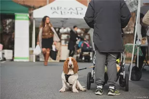 22 Olinda Ave, Hastings on Hudson, NY 10706 - Photo 30