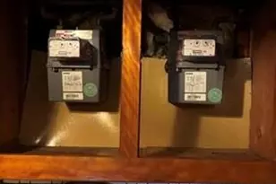 62-27 69th Ln, Middle Village, NY 11379 - Photo 34