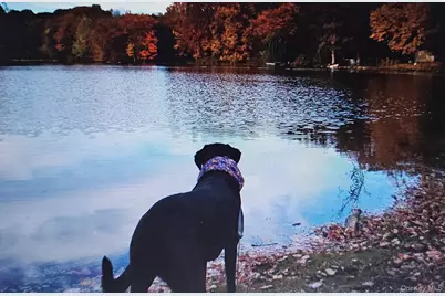 70 Kent Shore Drive, Carmel, NY 10512 - Photo 14