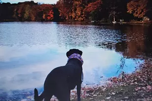 70 Kent Shore Dr, Carmel, NY 10512 - Photo 14