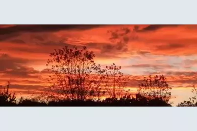 14 Palm Drive, Bloomingburg, NY 12721 - Photo 32