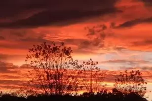 14 Palm Dr, Bloomingburg, NY 12721 - Photo 32