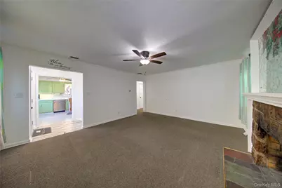 309 Litchfield Avenue, Elmont, NY 11003 - Photo 4