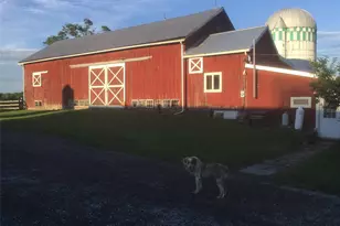 53 Day Rd, Campbell Hall, NY 10916 - Photo 12