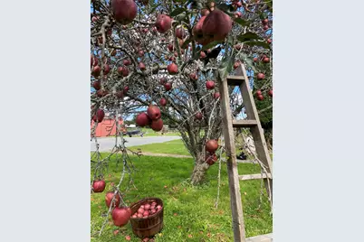 53 Day Road, Campbell Hall, NY 10916 - Photo 30