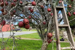 53 Day Rd, Campbell Hall, NY 10916 - Photo 30