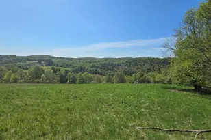 26 Beckys Hill Rd, Hurleyville, NY 12747 - Photo 38