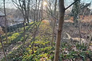 6 Aka 10 Rossmore Ave, Bronxville, NY 10708 - Photo 10