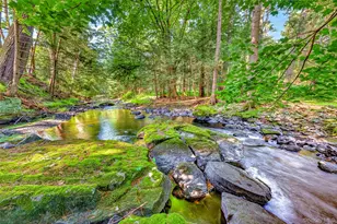 50 Park Rd, Yulan, NY 12792 - Photo 4