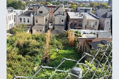 211 Sunnyside Avenue, Brooklyn, NY 11207 - Photo 10