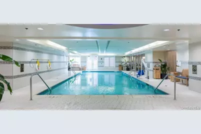 3000 Royal Court #3308, North Hills, NY 11040 - Photo 20