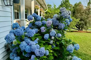 6 Wayne Dr, Middletown, NY 10940 - Photo 42