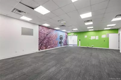 41-60 Main Street #201, Flushing, NY 11355 - Photo 34