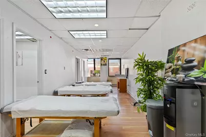 41-60 Main Street #Cellar, Flushing, NY 11355 - Photo 12