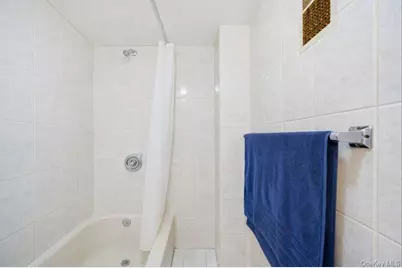 146 Terrace Avenue, Elmont, NY 11003 - Photo 14