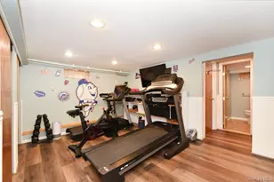 105 Dow Ave, Mineola, NY 11501 - Photo 22