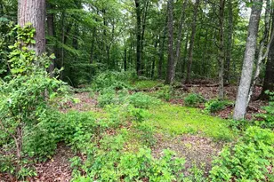 36 Sylvia Barlow Way, Brewster, NY 10509 - Photo 2