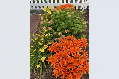 64 S Hillside Avenue, Elmsford, NY 10523 - Photo 42