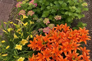 64 S Hillside Ave, Elmsford, NY 10523 - Photo 42