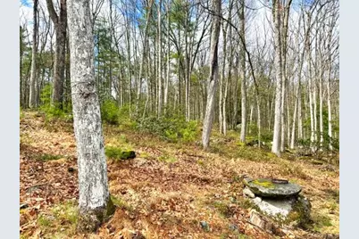 195 W Mohican Trail, Glen Spey, NY 12737 - Photo 4