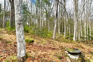 195 W Mohican Trail, Glen Spey, NY 12737 - Photo 4