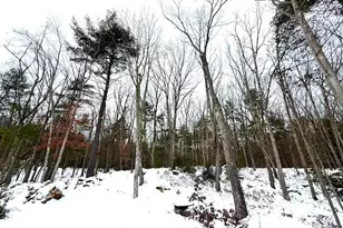 195 W Mohican Trail, Glen Spey, NY 12737 - Photo 18