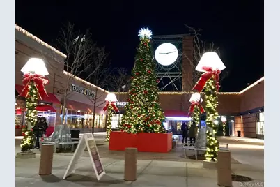 1020 Elton Street #18BB, Brooklyn, NY 11208 - Photo 18