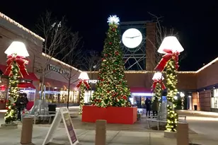 1020 Elton St, Brooklyn, NY 11208 - Photo 18