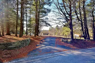 51 Forestburgh Rd, Forestburgh, NY 12777 - Photo 6