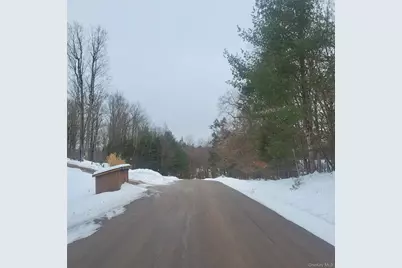 000 Roslyn Ridge Road, Mongaup Valley, NY 12720 - Photo 4