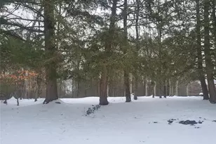 000 Roslyn Ridge Rd, Mongaup Valley, NY 12720 - Photo 2