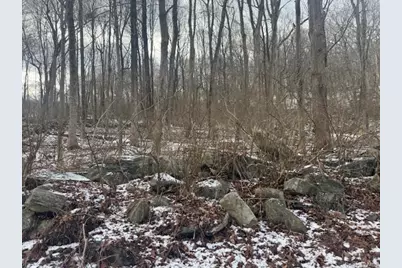 Lot 3  Eder Road, Stormville, NY 12582 - Photo 2