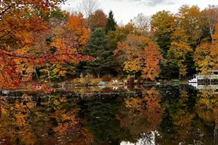 11 Apache Ln, Ferndale, NY 12734 - Photo 4