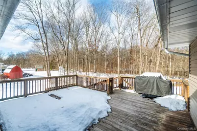 32 Elizabeth Drive, Hopewell Junction, NY 12533 - Photo 44