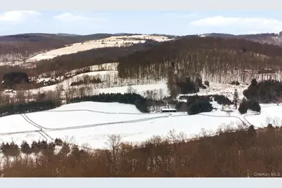 8032-8060 Rt-82, Pine Plains, NY 12567 - Photo 24