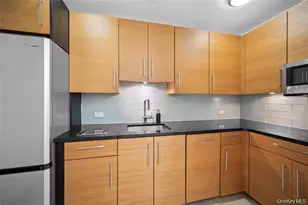 1 Renaissance Square, White Plains, NY 10601 - Photo 8