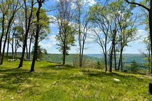 125 Mapes Rd, Barryville, NY 12719 - Photo 26
